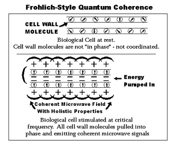 Quantum Coherence